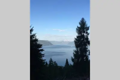a view of a lake between two trees at Balestrand Fjordapartments Holmen 19A in Balestrand