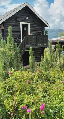 a wooden cabin with a balcony in a field of flowers at Eikre Fjellgård in Hemsedal
