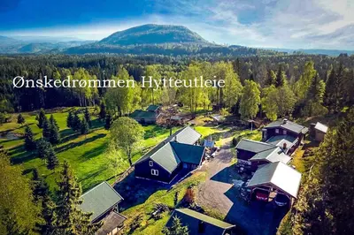 an aerial view of a house in the middle of a forest at Ønskedrømmen hytteutleie in Brandbu