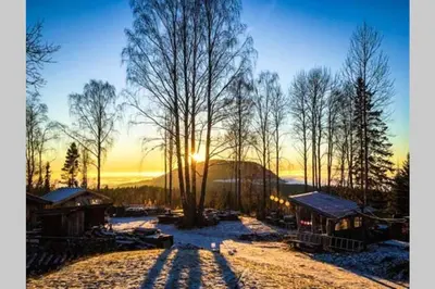a winter scene with the sun setting behind some trees at Ønskedrømmen hytteutleie in Brandbu