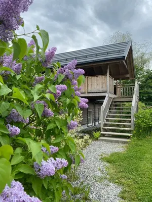 a house with purple flowers in front of it at Store Ringheim Hotel og Restaurant in Vossevangen