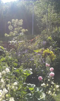 a garden filled with lots of flowers and plants at Valdres Naturlegvis in Fagernes