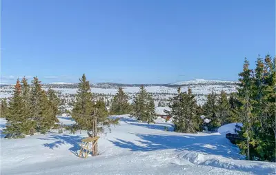 a snow covered field with trees and a wooden chair at 4 Bedroom Beautiful Home In Sjusjøen in Sjusjøen