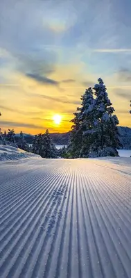 a snowy field with trees and the sunset in the background at Savalen Fjellhotell & Spa in Tynset