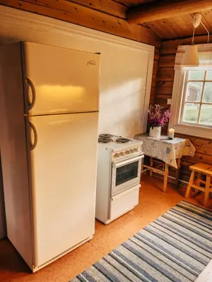 a kitchen with a refrigerator and a stove at Ryen Hytteutleie - Cottages in Røros