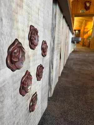 a row of chocolate donuts on a wall at Toftemo Turiststasjon in Dovre