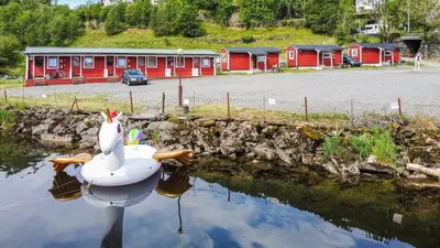 a swan is sitting in the water in front of a camp at Grimen Camping in Bergen