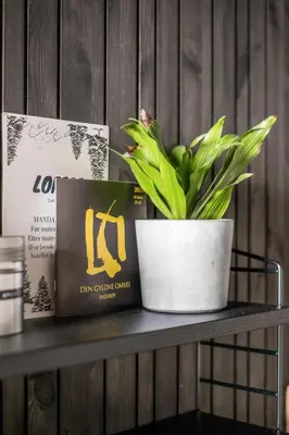 a plant sitting on a shelf with a book at Øyna Kulturlandskapshotell in Straumen