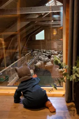 a teddy bear sitting on the floor looking at a display of animals at Unik fjøsleilighet in Levanger