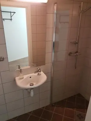 a bathroom with a sink and a shower at Folgefonn Gjestetun in Jondal