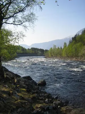a view of a river with rocks and trees at Kvamsdal Pensjonat in Eidfjord