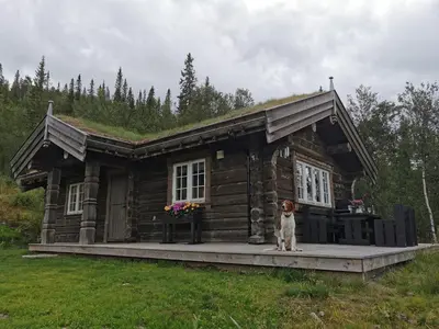 a dog sitting in front of a log cabin at Liaplassen Mountain View in Beitostøl