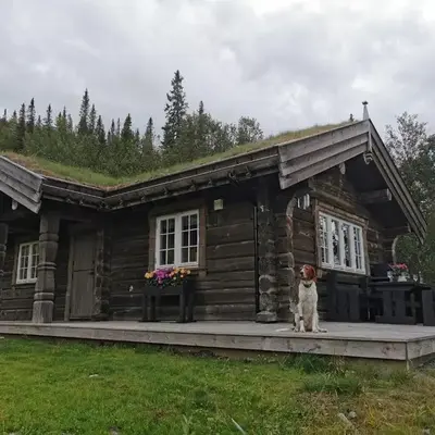 Liaplassen Mountain View