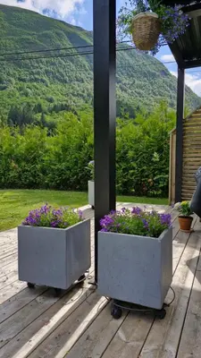 two concrete planters with purple flowers on a deck at Reinebu in Ørsta