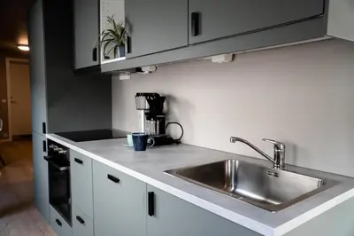 a kitchen with a stainless steel sink and a coffee maker at Trolltunga Odda Apartments in Odda