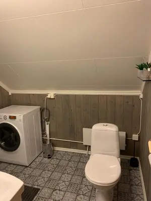a bathroom with a toilet and a washing machine at Sjarmerende overnatting sentralt i Vest-Telemark in Høydalsmo