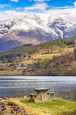 two benches sitting on the shore of a lake with snow covered mountains at Ulvik Camping in Ulvik