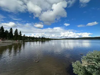 a large body of water with trees on the shore at Large Cottage 2 Baths and Sauna in Sjusjøen in Lillehammer