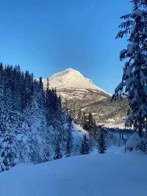 a mountain in the distance with snow and trees at Nordre Fossheim Gård Hemsedal in Hemsedal