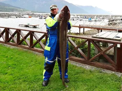 a man standing next to a large wooden pole at 6 person holiday home in EIDSVÅG-By Traum in Eidsvåg