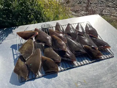 a bunch of fish are cooking on a grill at 6 person holiday home in EIDSVÅG-By Traum in Eidsvåg