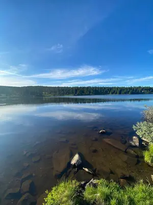 a large body of water with trees in the background at Lys og moderne leilighet rett ved skiløypa på Nordseter - Kort vei til Sjusjøen, Lillehammer og Hafjell - Dyr ikke tillatt in Nordseter
