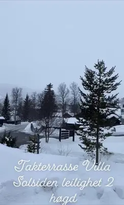 a winter scene with a pine tree in the snow at Villa Solsiden Geilo in Geilo