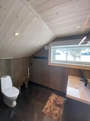 a bathroom with a toilet and a sink and a window at Villa Solsiden Geilo in Geilo