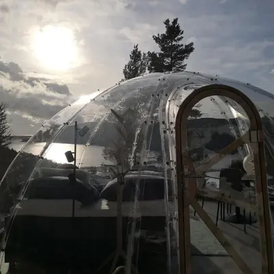 a glass dome with a tree inside of it at Glassigloo med panoramautsikt - Nordlys og stjernehimmel - Fosen in Husby