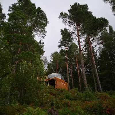 a cabin in the middle of a forest with trees at Glassigloo med panoramautsikt - Nordlys og stjernehimmel - Fosen in Husby