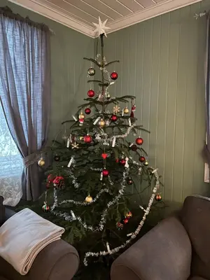 a christmas tree in the corner of a living room at Stille og fredelig med panoramautsikt in Valsøybotn
