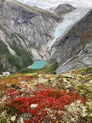 a view of a mountain with red flowers and a lake at Melkevoll Bretun Camping in Briksdalsbre