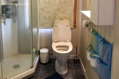 a small bathroom with a toilet and a shower at Cottage - Sleeps 6 - Parking - Patio in Ytteroy