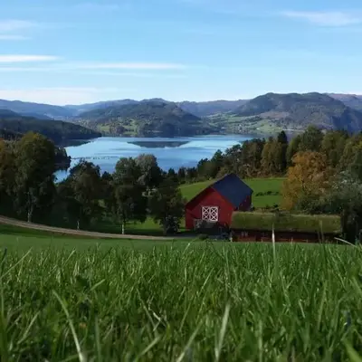 Yttervik gard