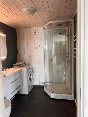a bathroom with a shower and a washing machine at Høgli på Yttervik gard in Fosnesstranden