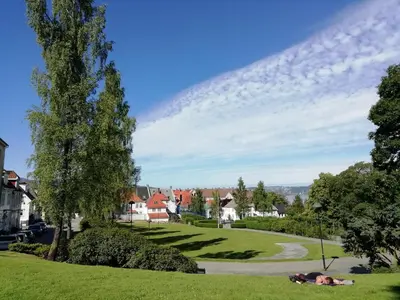 a person laying on the grass in a park at Modern and central - with a garden in Bergen