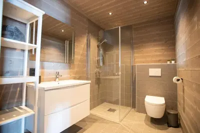 a bathroom with a shower and a toilet and a sink at Panorama 13 - beautiful view! in Sogndal