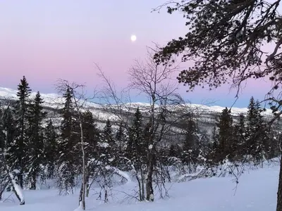 a moon over a snow covered forest with trees at Skarehaug - koselig hytte med 3 soverom in Eggedal