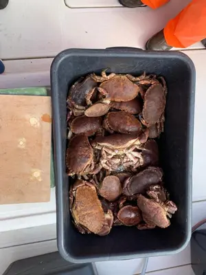 a pan full ofcooked food sitting on a counter at Exclusive fjordside villa with swimming pool, sauna, jacuzzi and boat hire in Sveio