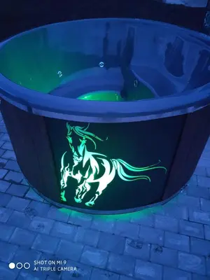 a bath tub with a green horse painted on it at Feriehus med badestamp in Lavik