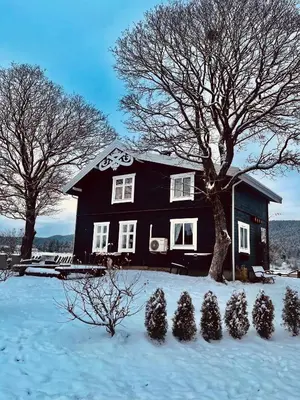 a black house with christmas trees in the snow at Eika Cottage: Cozy, rural, spacious and well-equiped in Åmot