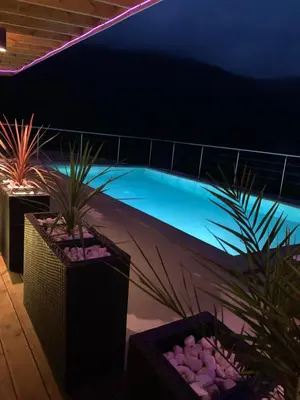 a swimming pool lit up at night with plants at Olden Studioapartment in Olden