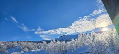 a winter view of a forest with snow covered trees at Røisheim in Tyinkrysset