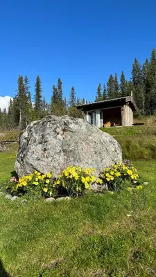 a large rock in the middle of a field with flowers at Liaplassen Timber Lodge in Beitostøl