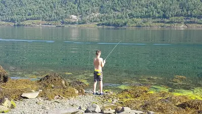 a man standing on the shore of a lake fishing at Between Fjord og Glacier in Ålfoten
