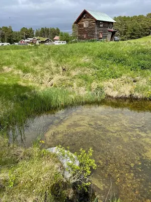 an old house in a field next to a pond at Gammelstua ved Femund in Elga