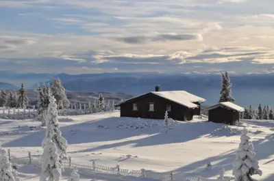a cabin in the snow with snow covered trees at Løstegård Cabins in Gol