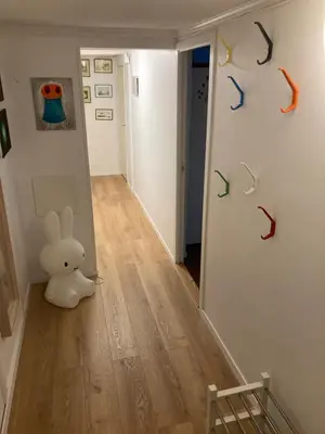 a hallway with a white bunny sitting on the floor at Kjellerleilighet - nært Haukeland sykehus. in Bergen