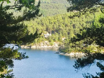 a view of a lake in the middle of a forest at 4 person holiday home in Reksteren-By Traum in Klinkholmen