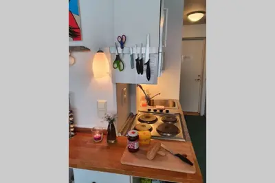 a kitchen with a stove and a counter top at Fantastic and high standard apartment in Nordseter in Lillehammer